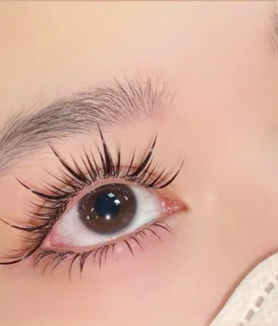 Mi Katun Sợi