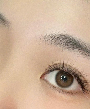 Mi Lông Thỏ